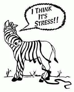 stress-zebrastripes
